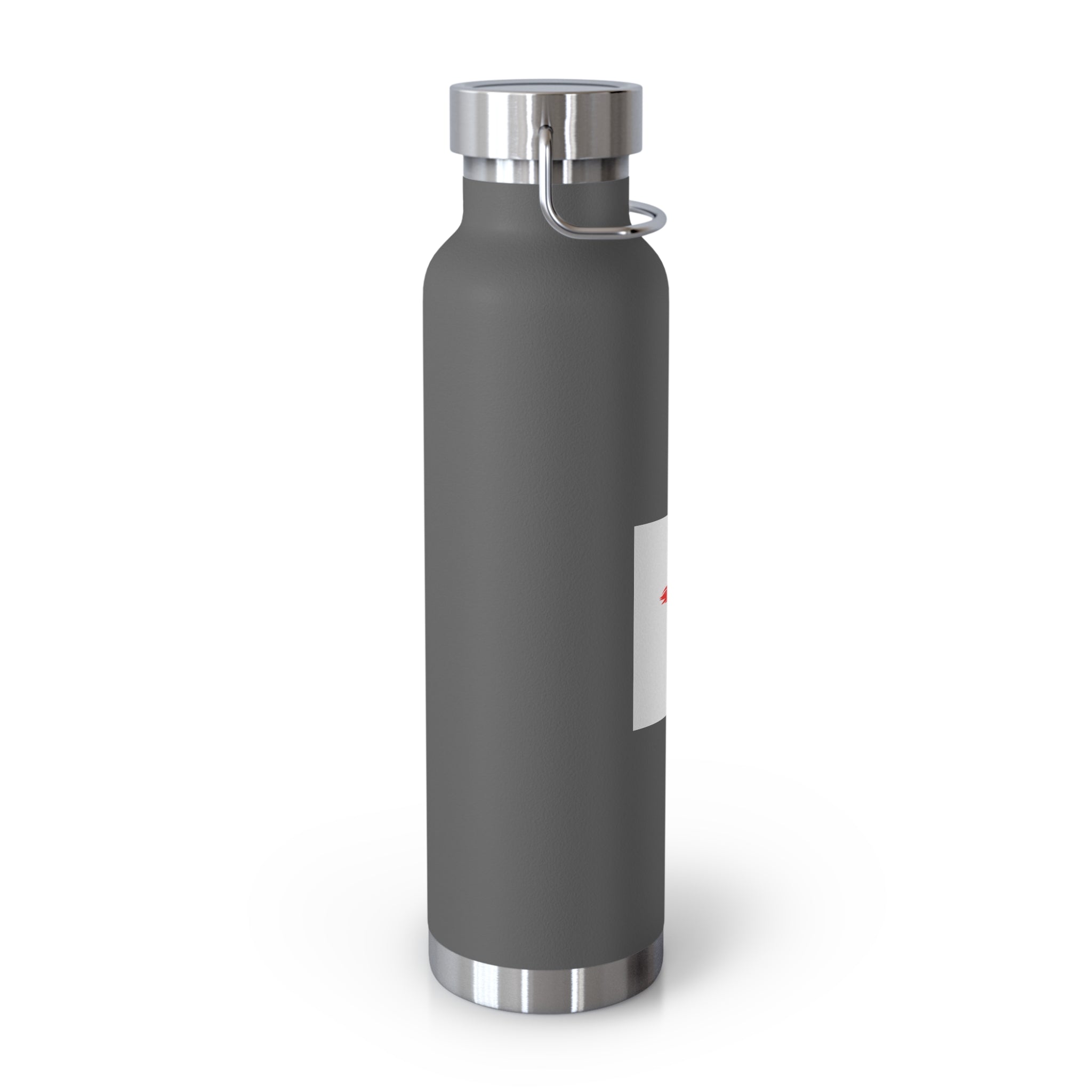 Faith-Inspired Vacuum Insulated Bottle, Christian Gift, Religious Water Bottle, Durable Travel Flask, Spiritual Hydration