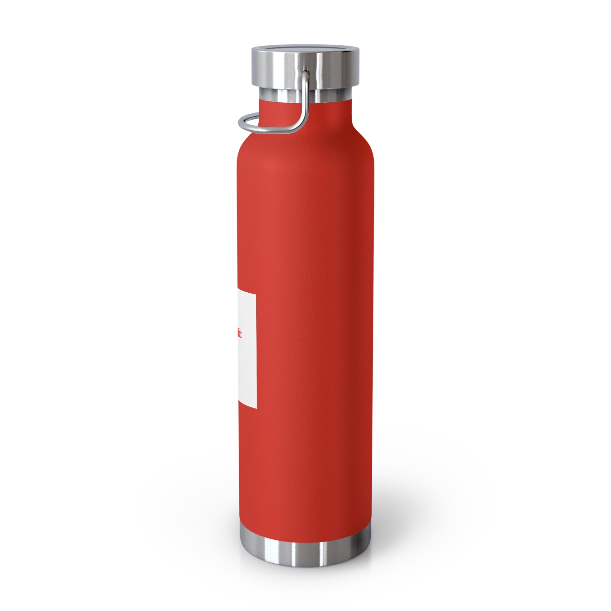 Faith-Inspired Vacuum Insulated Bottle, Christian Gift, Religious Water Bottle, Durable Travel Flask, Spiritual Hydration