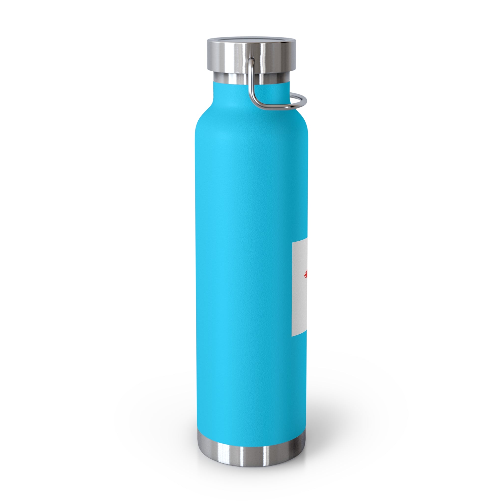 Faith-Inspired Vacuum Insulated Bottle, Christian Gift, Religious Water Bottle, Durable Travel Flask, Spiritual Hydration