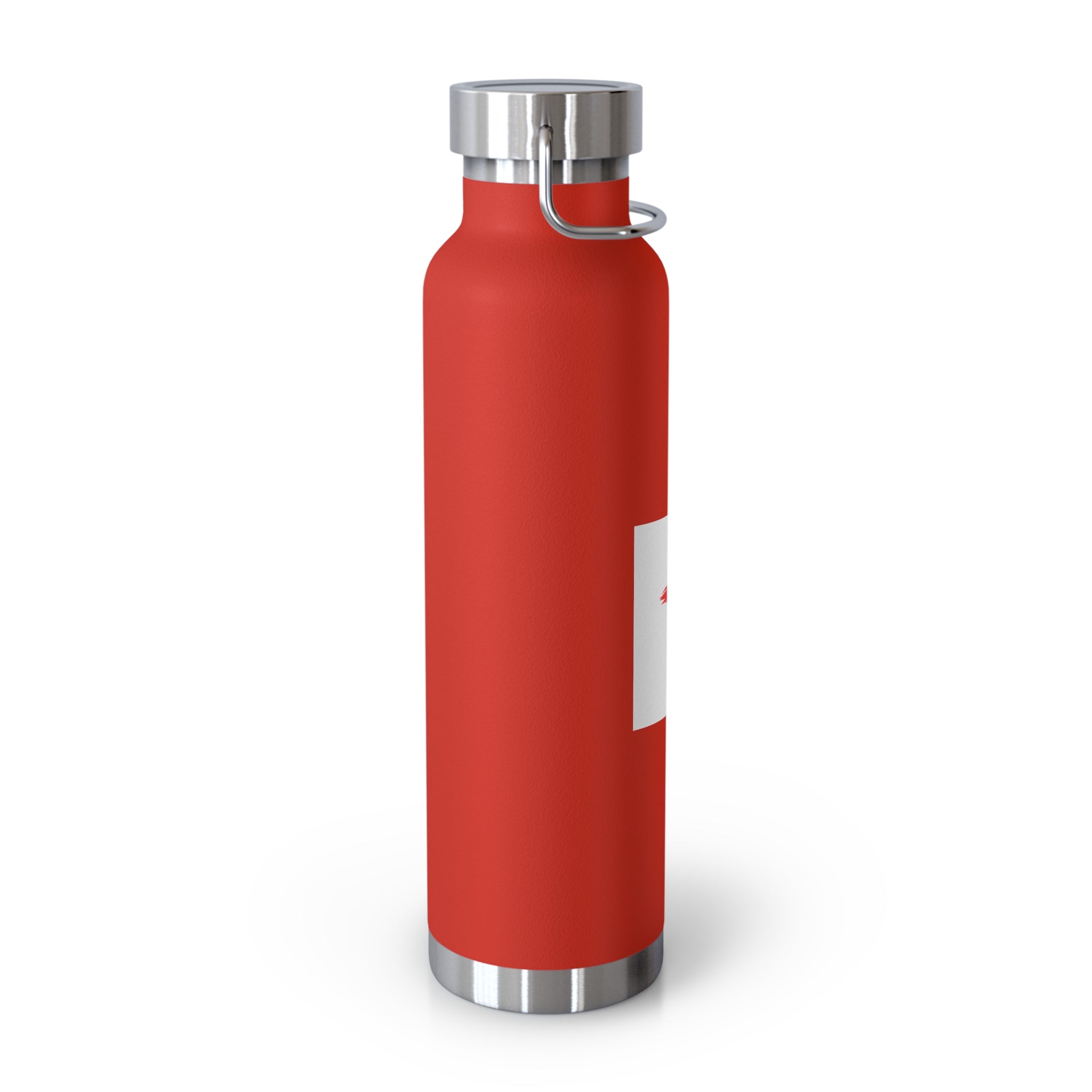 Faith-Inspired Vacuum Insulated Bottle, Christian Gift, Religious Water Bottle, Durable Travel Flask, Spiritual Hydration
