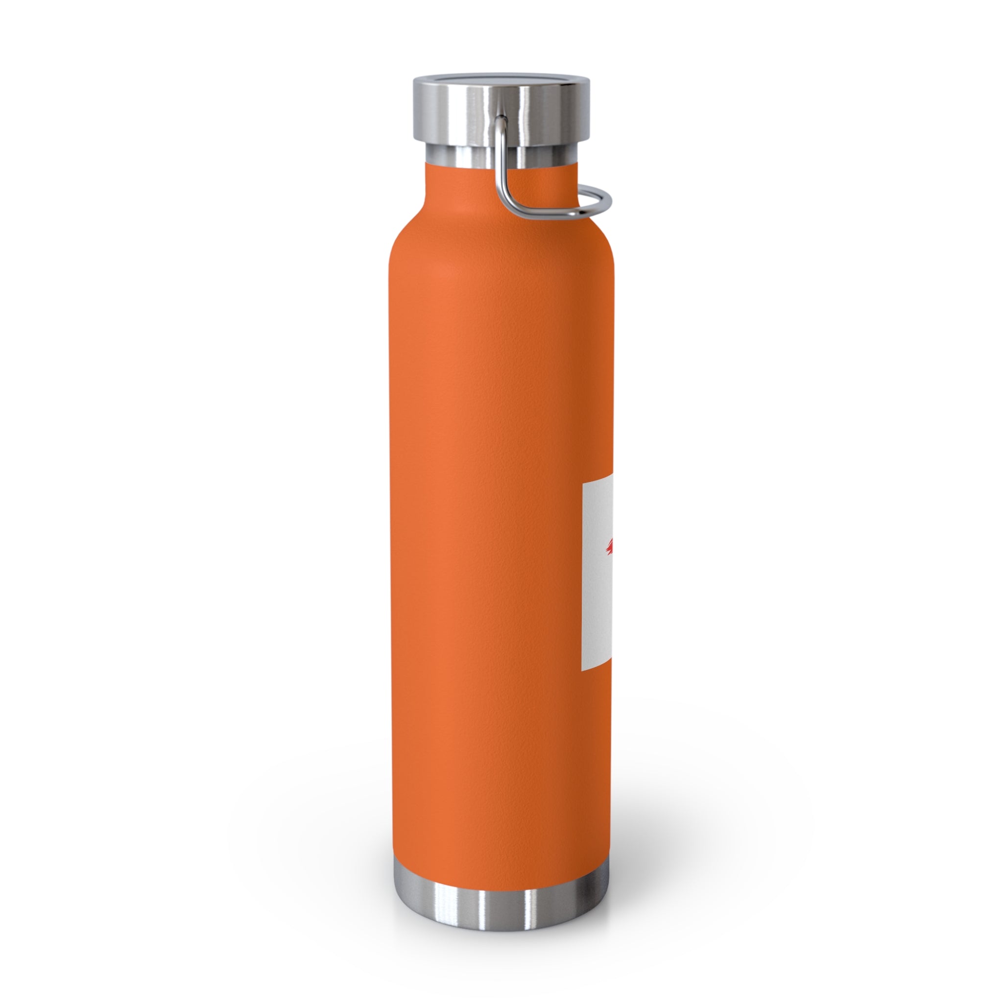 Faith-Inspired Vacuum Insulated Bottle, Christian Gift, Religious Water Bottle, Durable Travel Flask, Spiritual Hydration