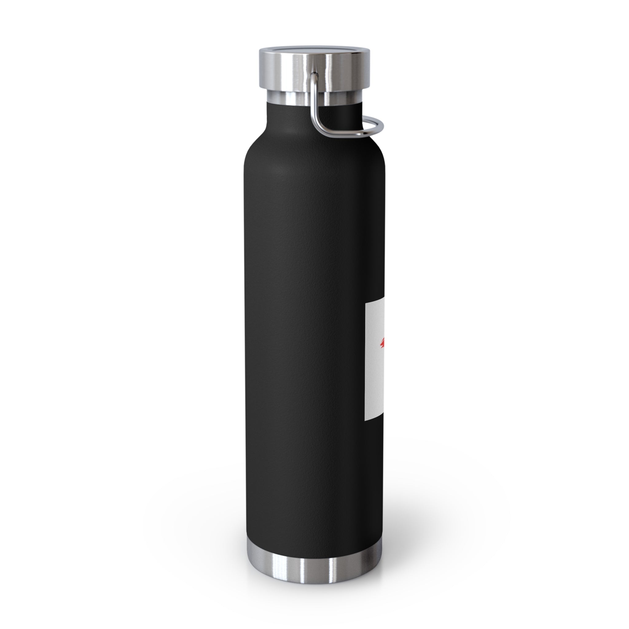 Faith-Inspired Vacuum Insulated Bottle, Christian Gift, Religious Water Bottle, Durable Travel Flask, Spiritual Hydration